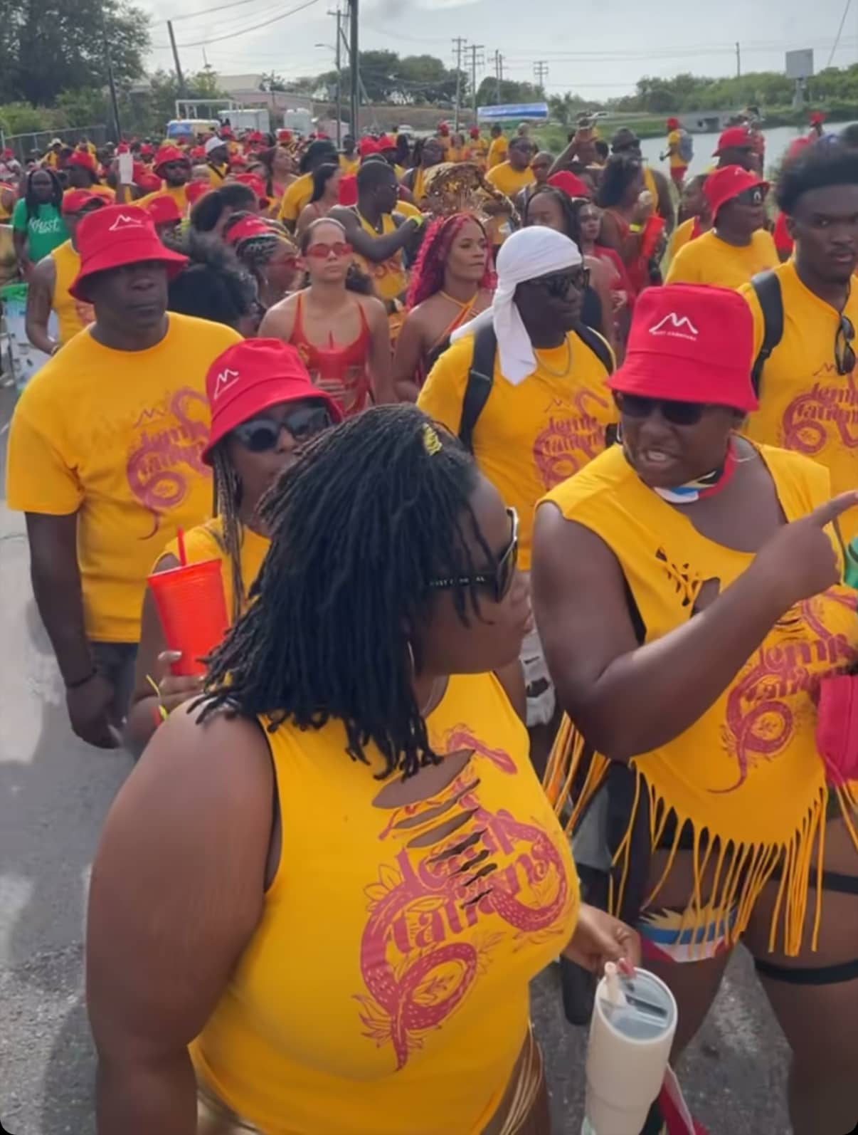 Antigua Carnival Parade Halted Early Due to Electrical Safety Concern