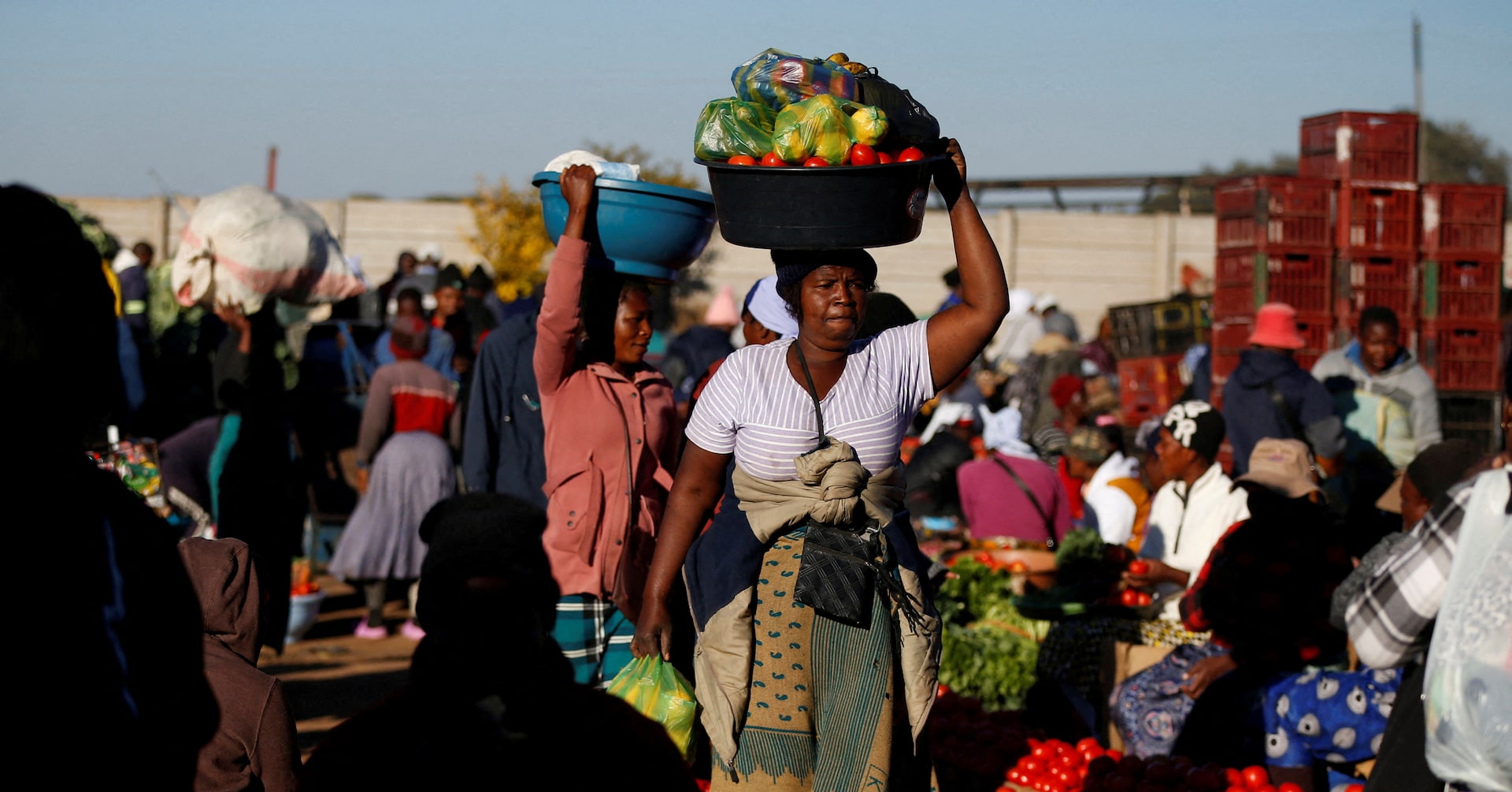 Zimbabwe lifts 2025 growth forecast on tobacco harvest, gold price rally