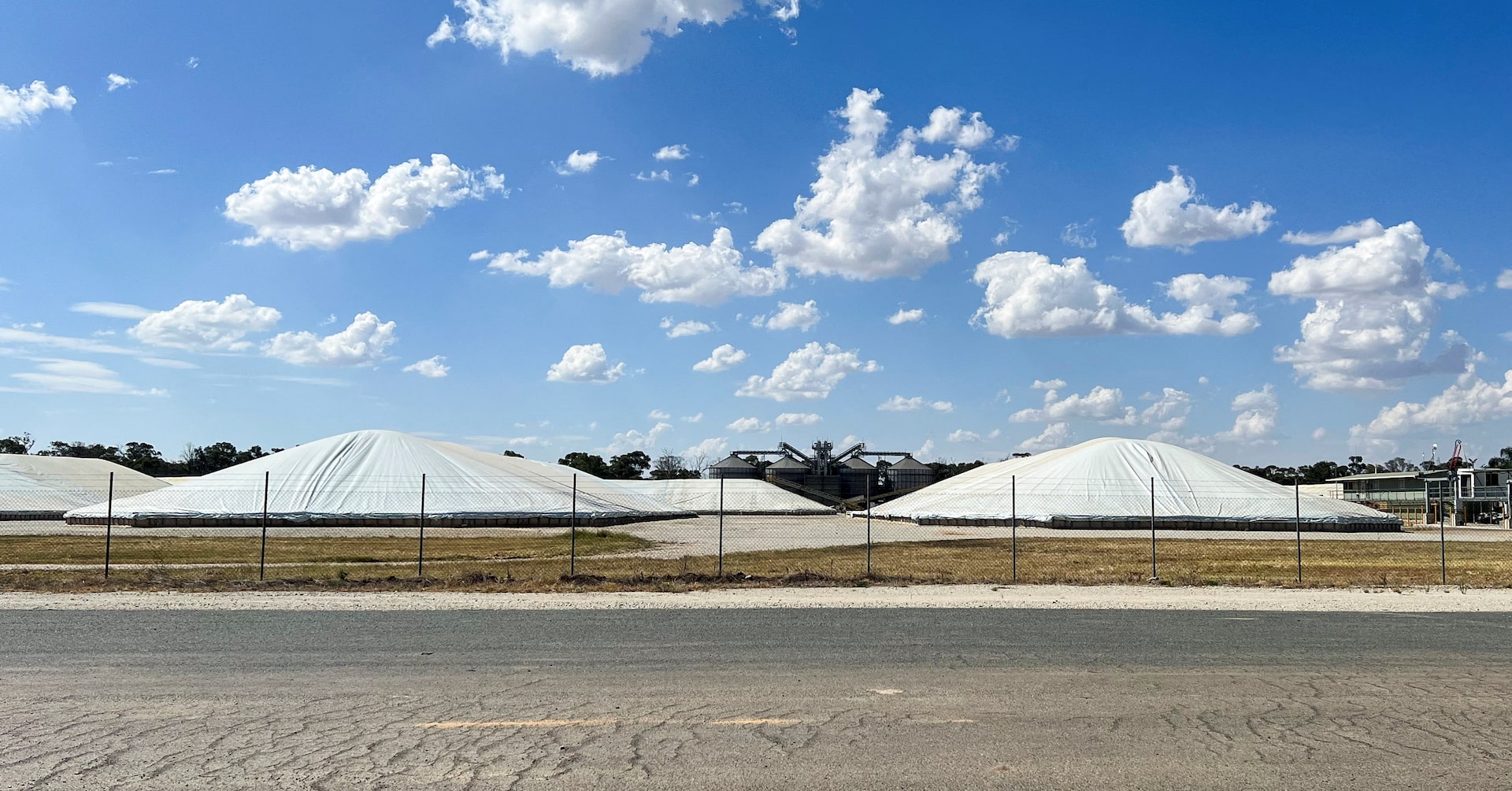 Beetle that threatens Australia’s grains industry found in imported nappies