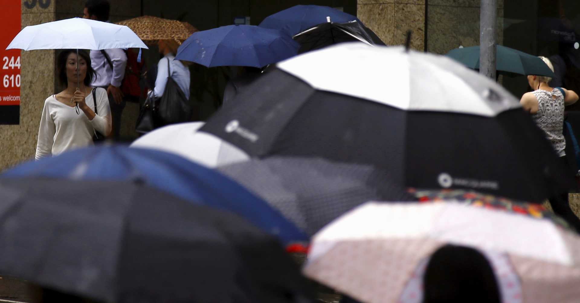 Australia employment unexpectedly falls in August, jobless rate steady