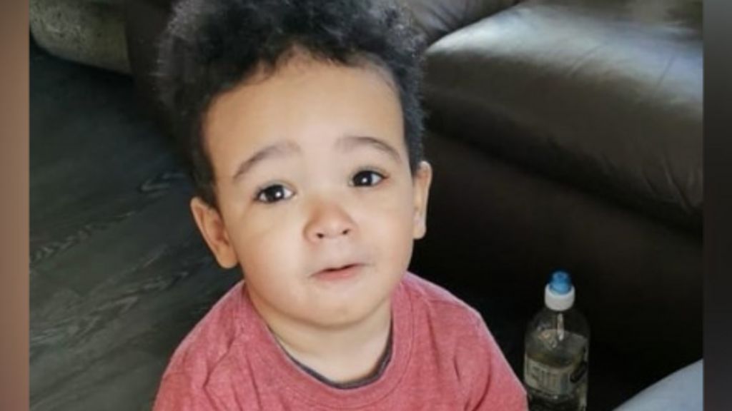 Irish police find skeletal remains in search for missing boy