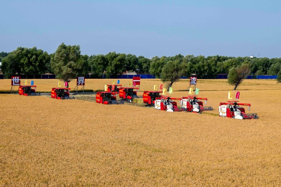 China’s tech-empowered grain farming bolsters food security