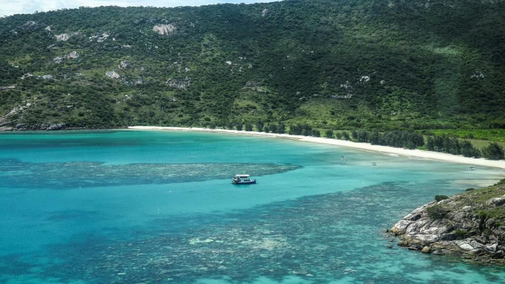 Elderly woman left behind by cruise ship on Great Barrier Reef island found dead