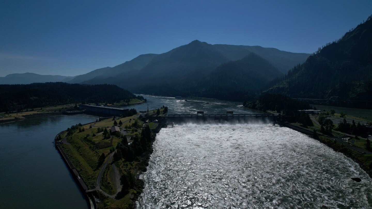 Oregon and conservationists ask court to OK dam operation changes to help salmon