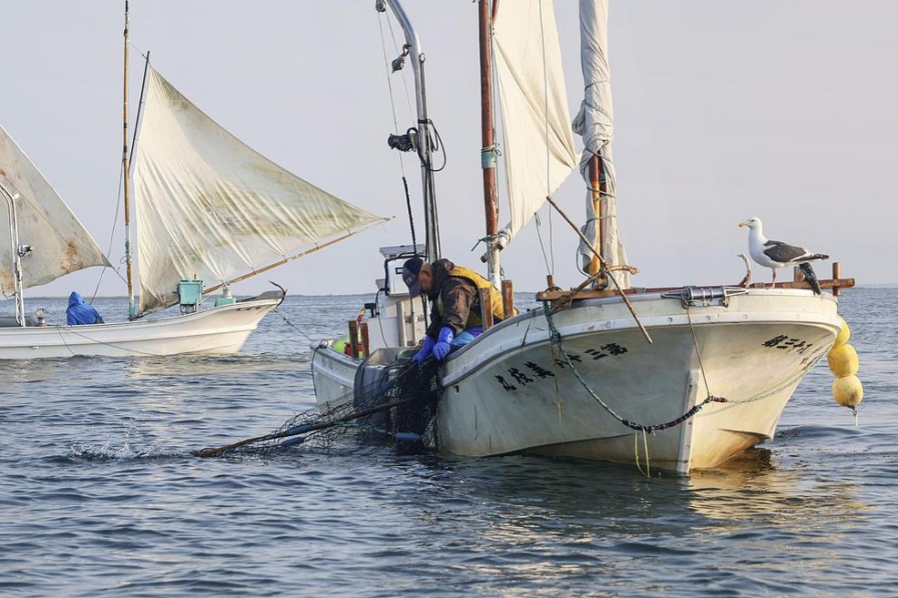 Japanese seafood imports conditionally resumed