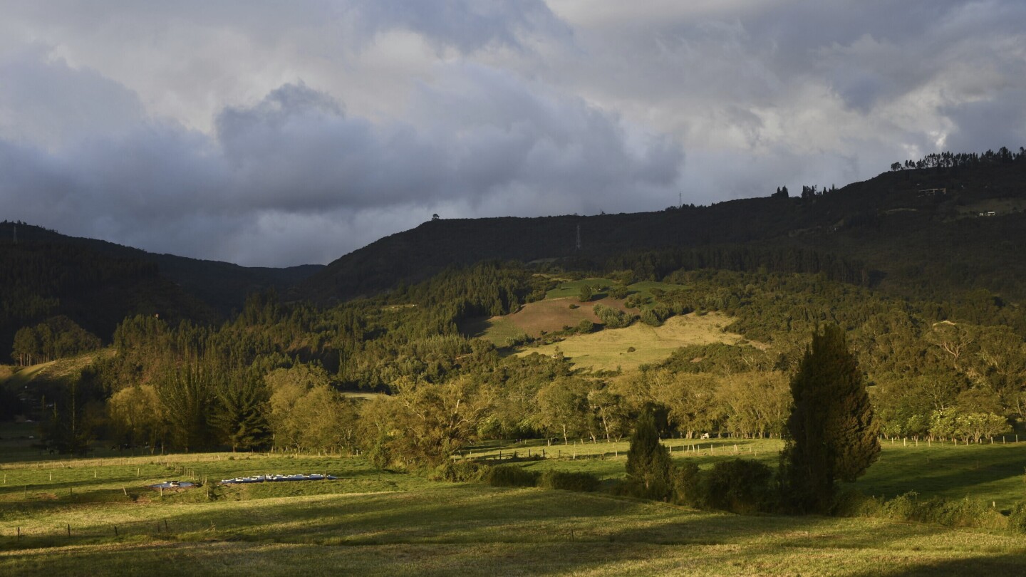 Ancient DNA reveals a new group of people who lived near land bridge between the Americas