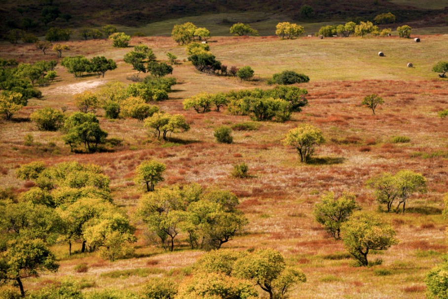 Global study shows intensifying drought may wreck grasslands