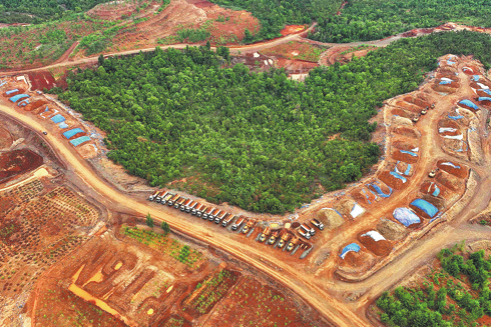 Deforestation in S.E. Asia causes more deaths than in other tropical areas