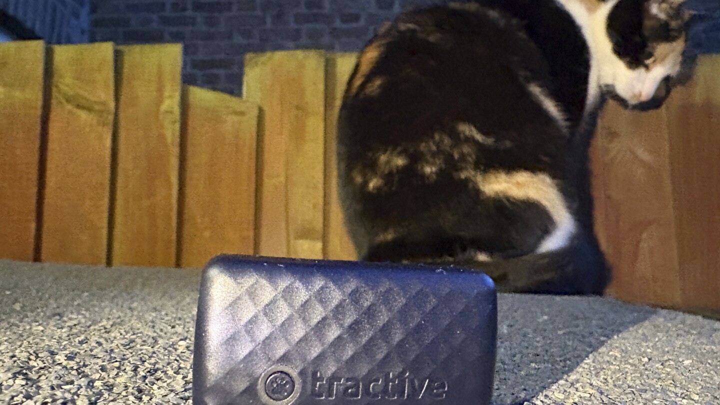 One Tech Tip: No more lost cats and dogs. Use tech to track your pet