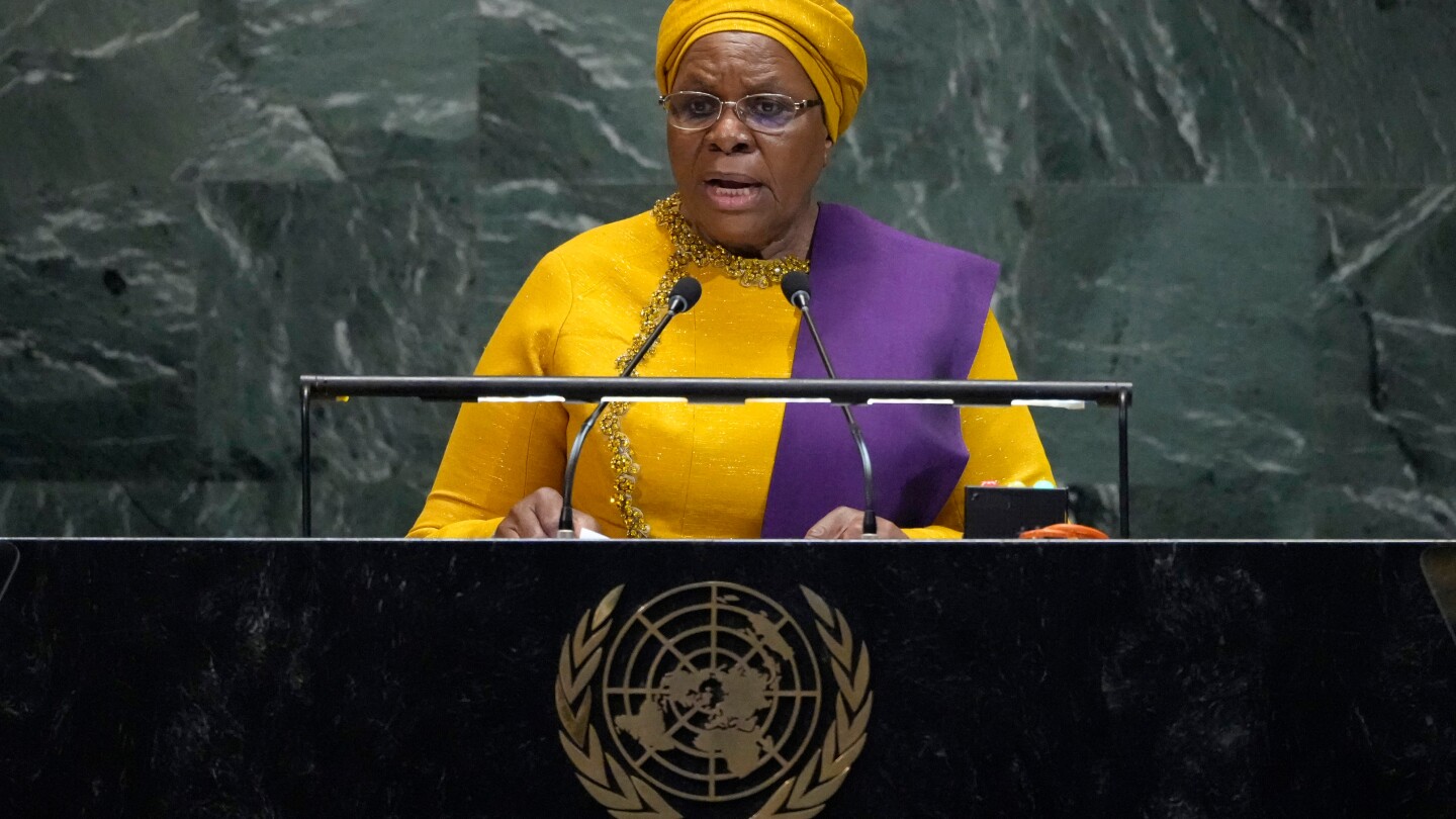 At the UN, African leaders did not draw attention to home conflicts, analysts say