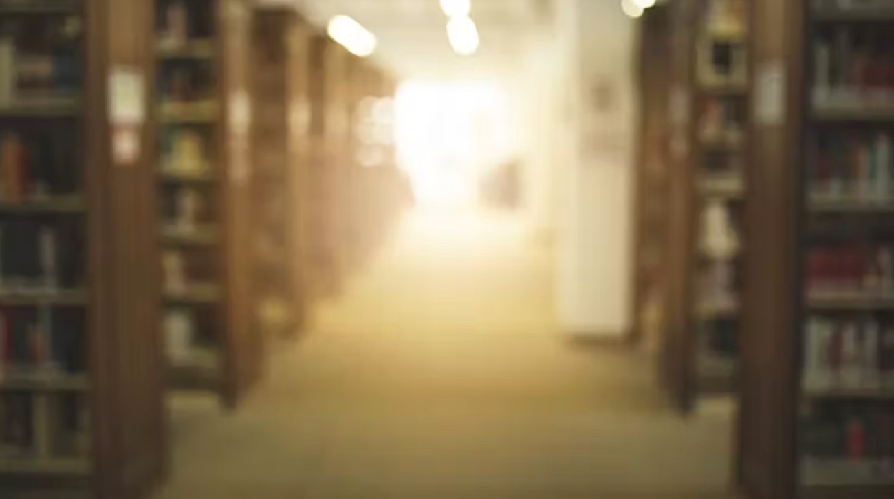 US foreign student purge an exercise in economic self-destruction