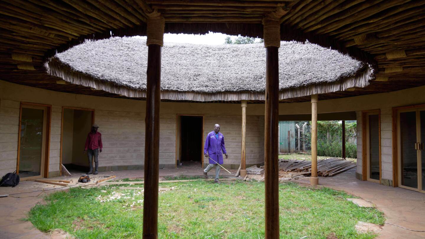 A mushroom farm in Kenya and fungi-based panels give hope for sustainable building