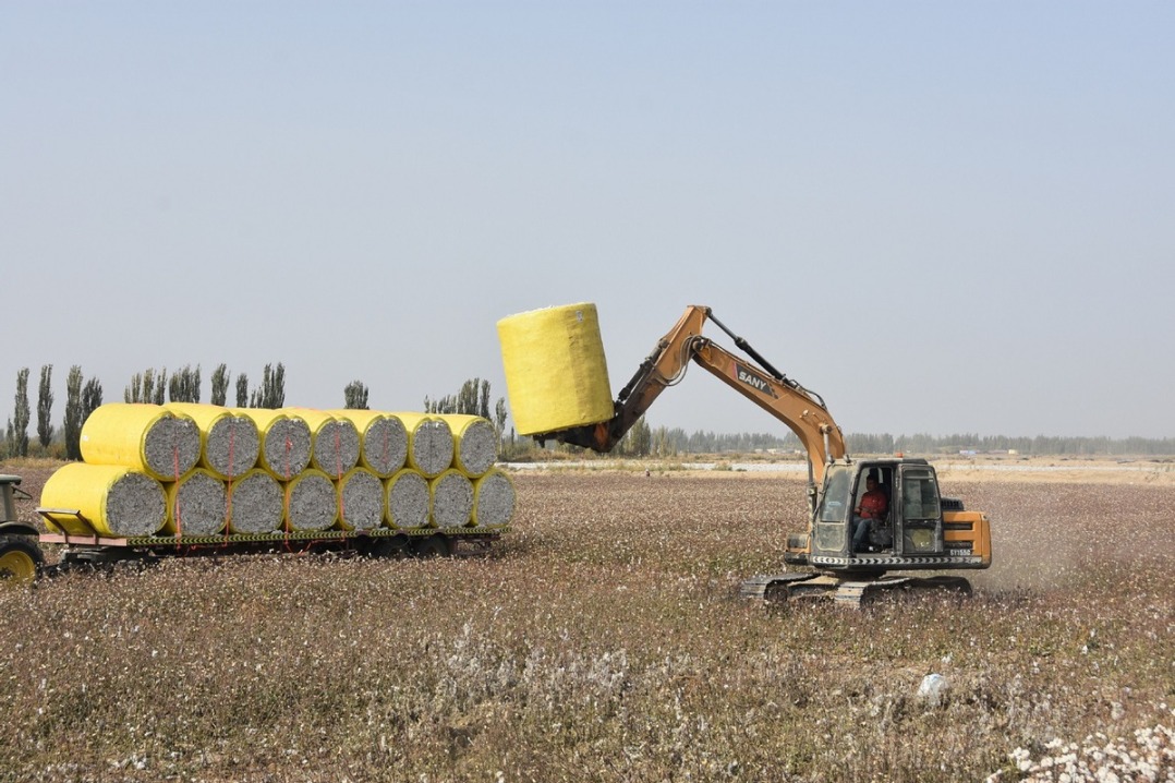 Harvest season of cotton starts in Xinjiang