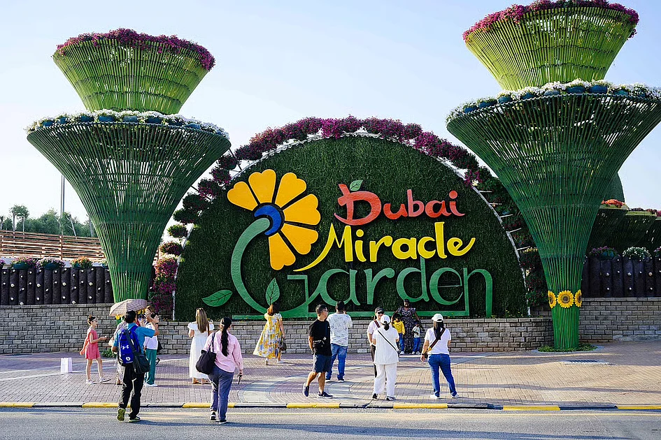 Visit Dubai’s Miracle Garden for free on your birthday; here’s how