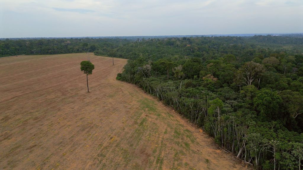 Brazil’s Amazon rainforest at risk as key protection under threat