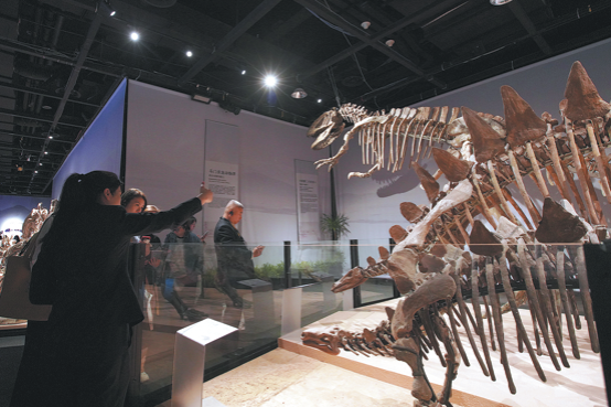 Down to the bones of the matter