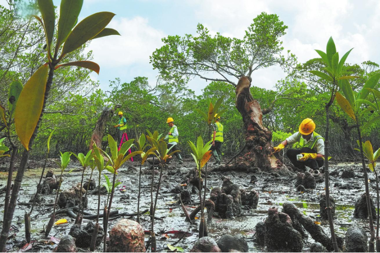 Resilience and recovery