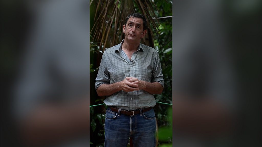 How lifting the Amazon’s soya bean ban could threaten the rainforest