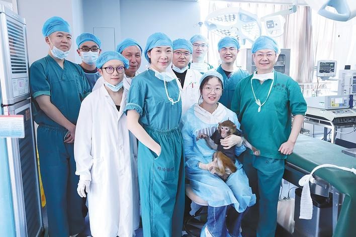 Macaque survives over a year after pig kidney transplant in China