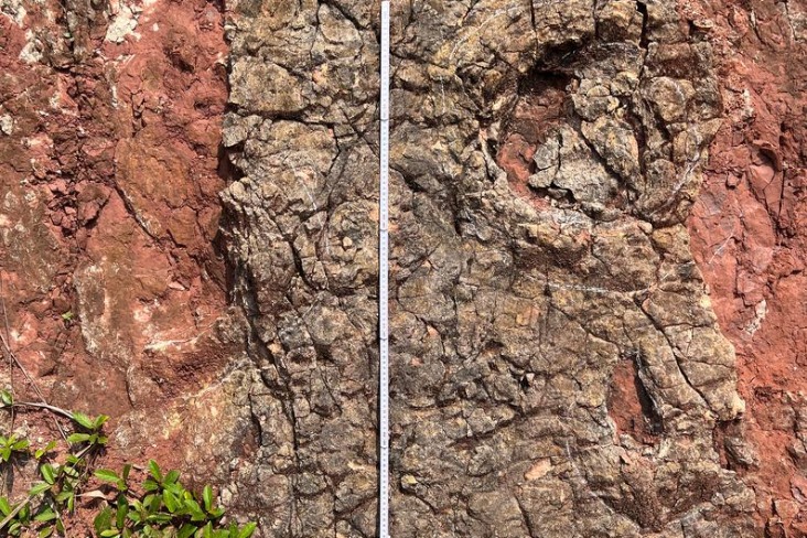 Scientists discover important Early Jurassic dinosaur tracks