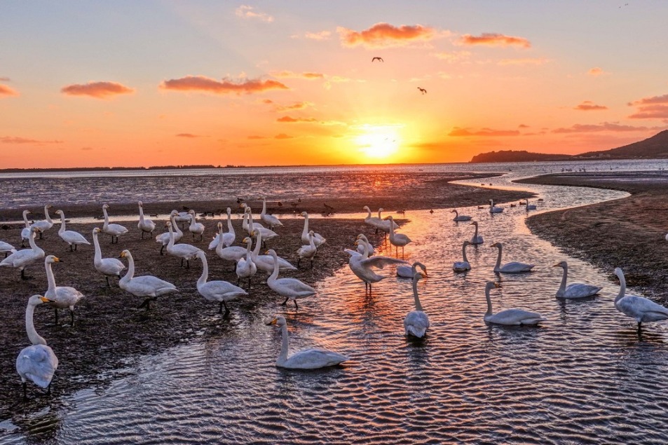 Ten photos from across China: Oct 31 – Nov 6