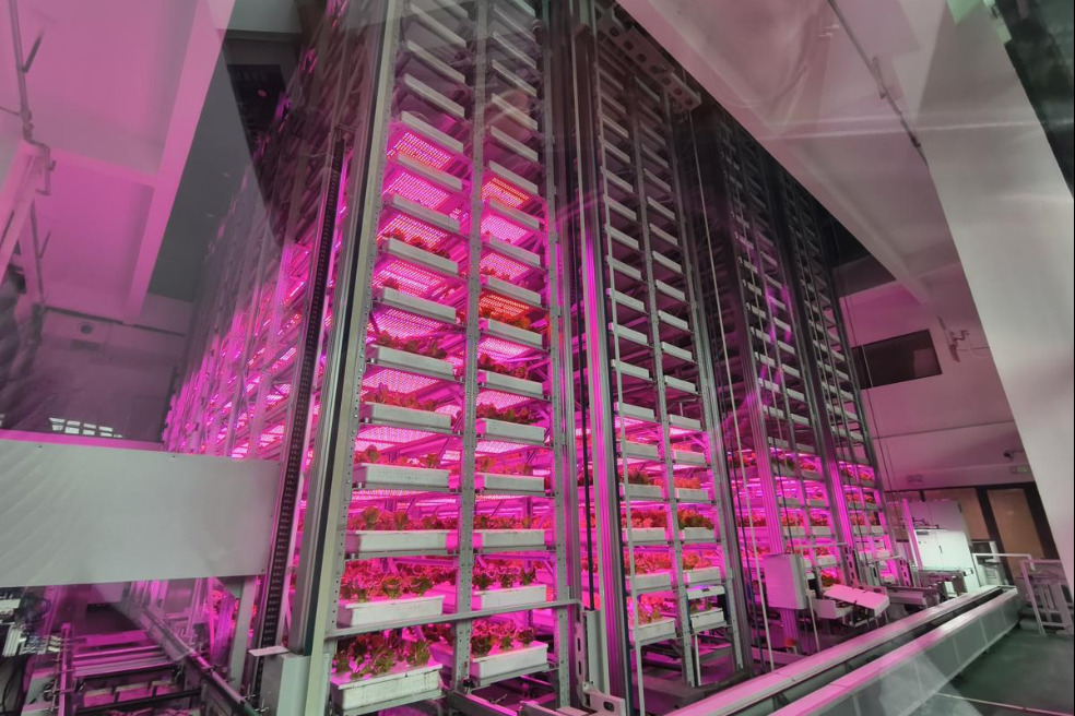 Smart vertical farming takes off in Chengdu