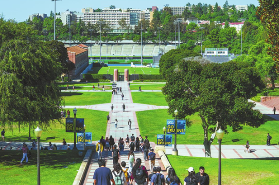 Students forgo vacations to prep for overseas universities