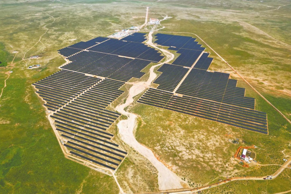 Solar shelters shrubs to stunt Inner Mongolia’s shifting sands