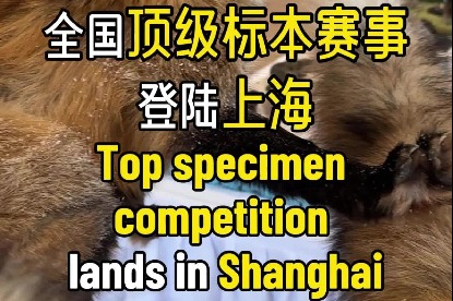 China’s top specimen event lands in Shanghai