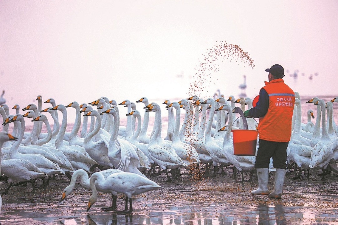 Ten photos from across China: Nov 28 – Dec 4