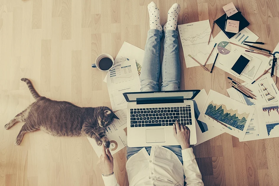 Dubai: New programme to help aspiring script writers make their own TV shows; how to apply