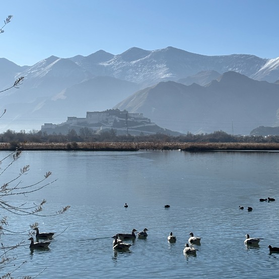 Lhasa wetland reserve recognized as world’s highest altitude wetland