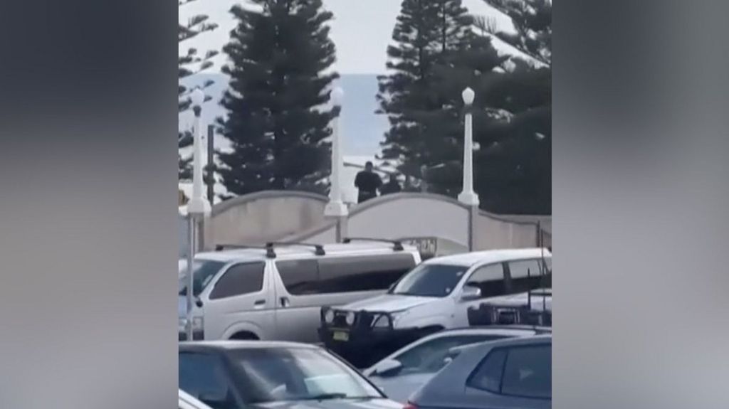 Video appears to show alleged gunmen on bridge connected to Bondi Beach