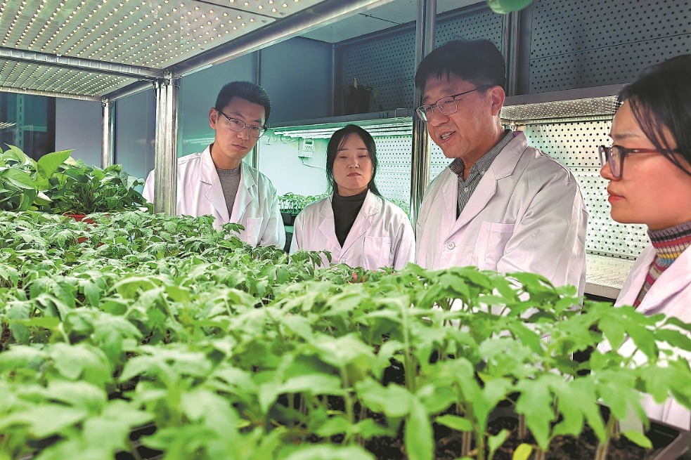 Plant scientist has life’s work honored