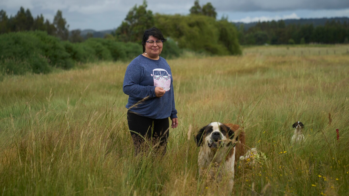 After centuries of conflict, Chile’s Indigenous Mapuches fear a far-right political turn