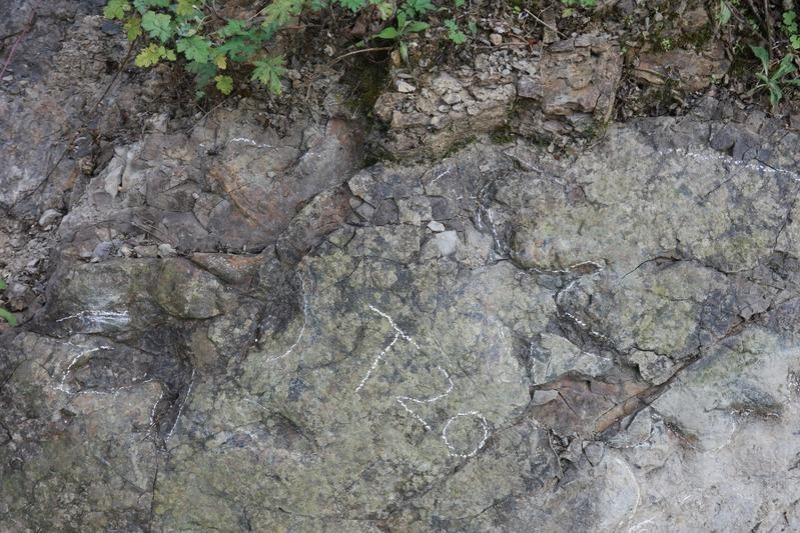 Dinosaur footprints from about 200m years ago found in China