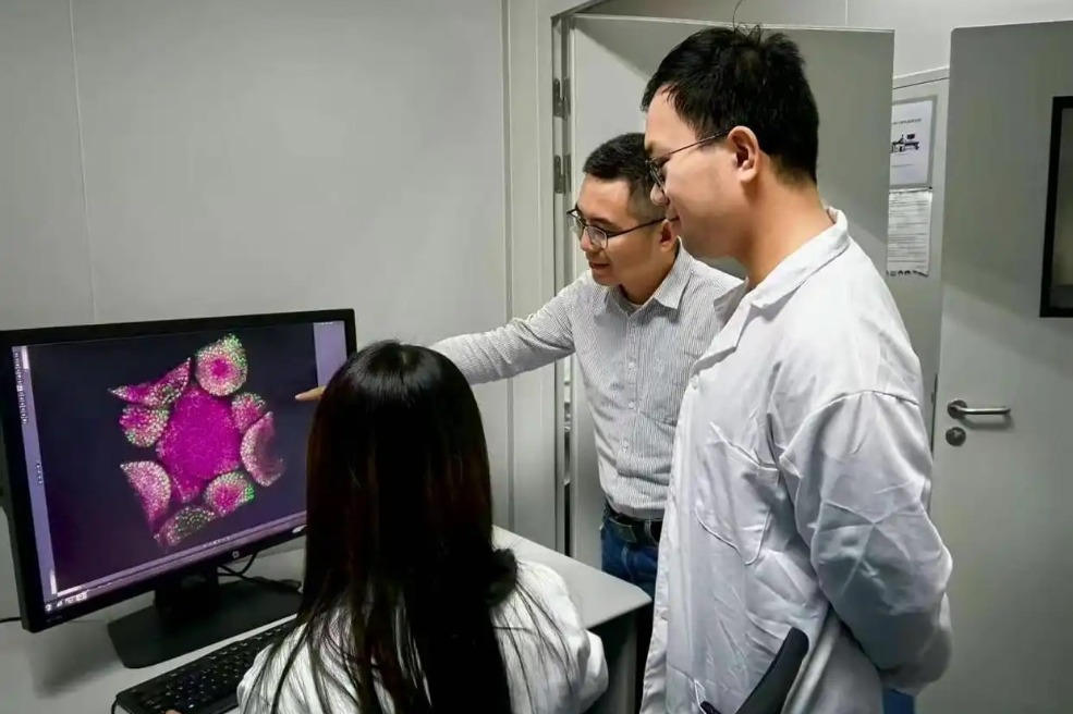 Key mechanism on crop improvement unlocked