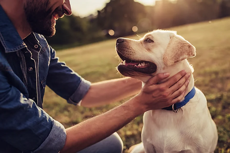 How pets are helping UAE residents manage grief, mental health challenges
