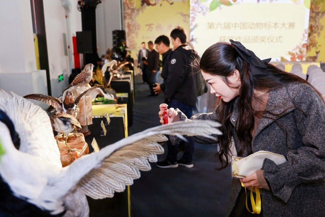 Exhibition of entries for 6th China animal specimen competition opens in Shanghai