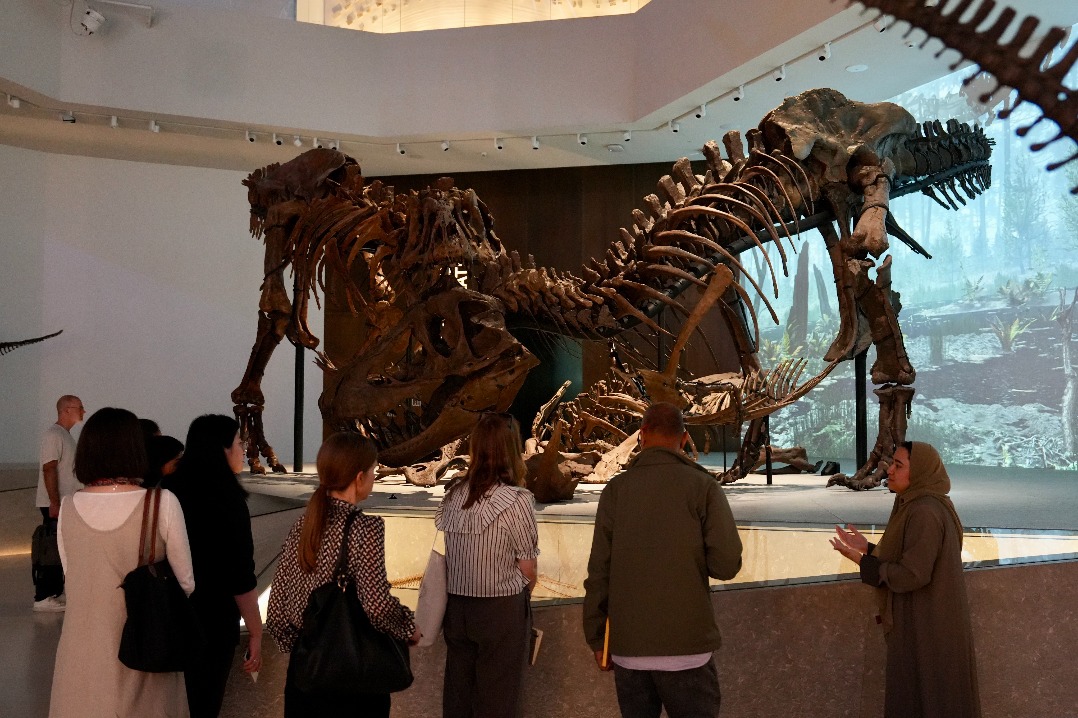 Fossils reveal UAE’s lush grasslands, giant rivers from millions of years ago