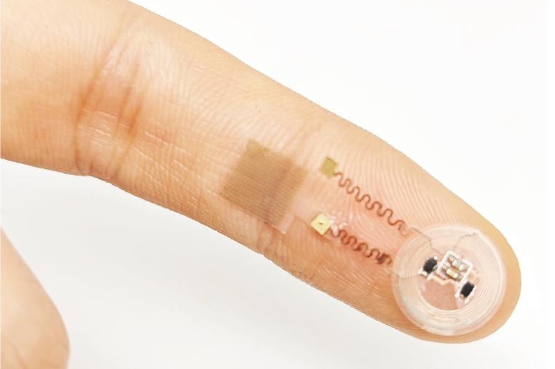 Scientists design flexible patch for precision drug delivery to complex organs