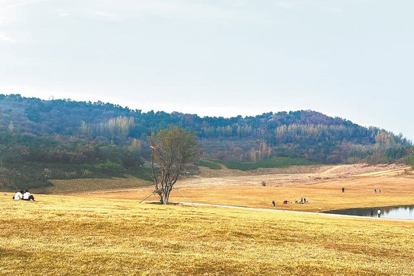 China carries out nearly 8.5m  hectares of land greening in 2025