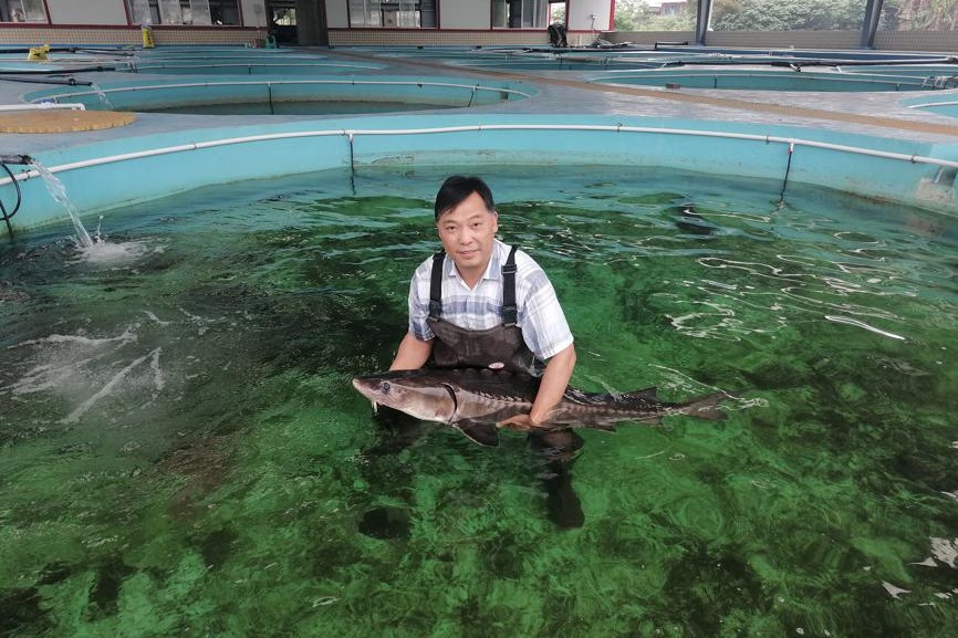 Zhou Liang sees hope for Yangtze sturgeon after decades of conservation work
