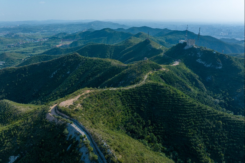 China completes over 8 million hectares of land greening in 2025