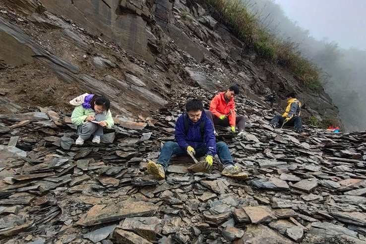 Chinese fossil find illuminates Earth’s earliest mass extinction