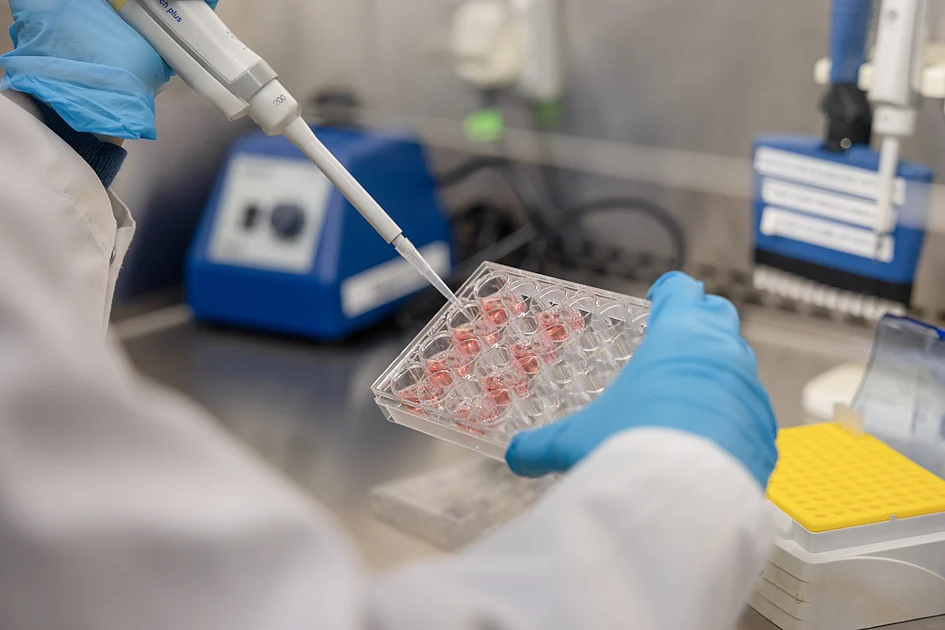 Abu Dhabi researchers develop nanotechnology for better cancer detection, treatment