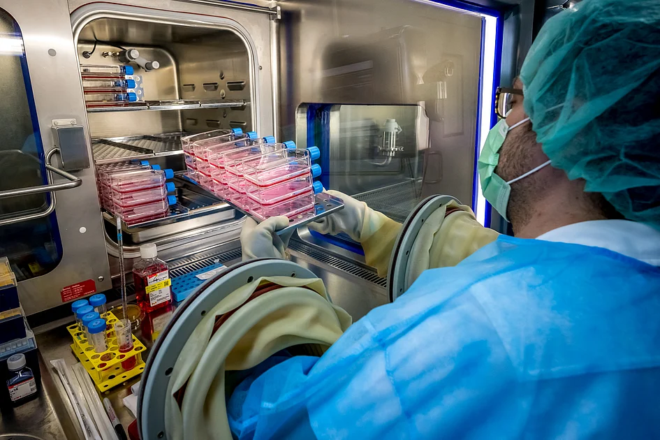 Experts growing new skin for badly-burnt survivors of Swiss fire tragedy