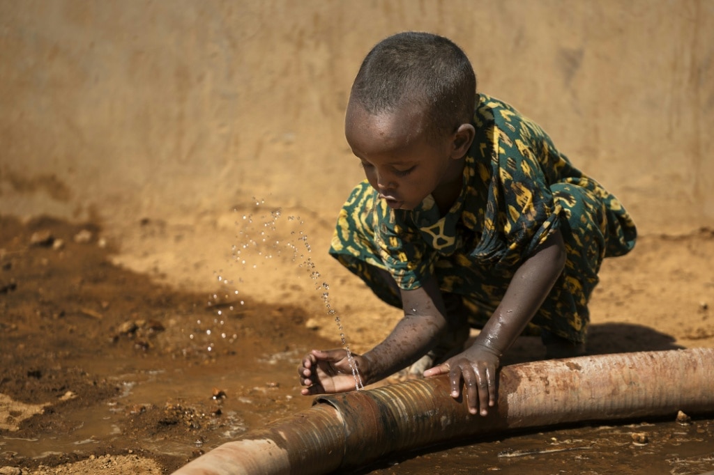 ‘Our children are next’ fear Kenyans as drought wipes out livestock