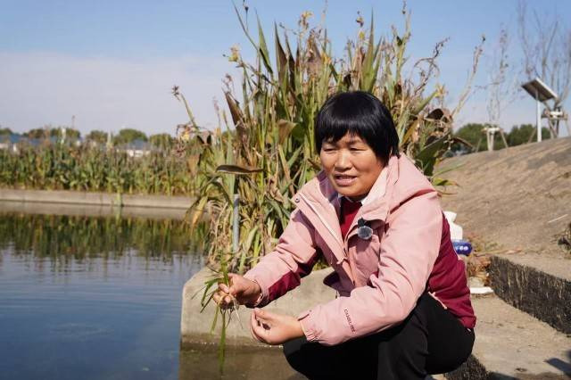 Ecological approach to water treatment unveiled