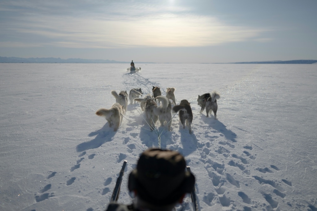 Greenland’s elite dogsled unit patrols desolate, icy Arctic